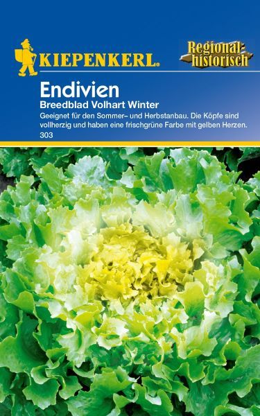 Kiepenkerl - Endivie Breedblad Volhart Winter