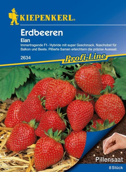 Kiepenkerl - Erdbeere Elan, F1, Pillensaat