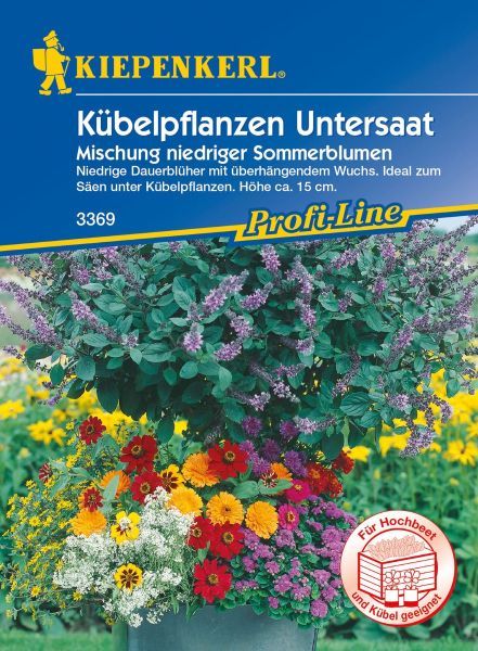 Kiepenkerl - Blumenmischung Kübelpflanzen Untersaat