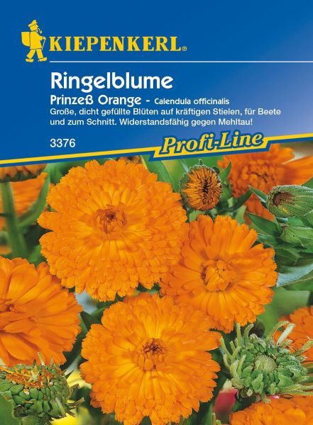 Kiepenkerl - Ringelblume Prinzeß Orange