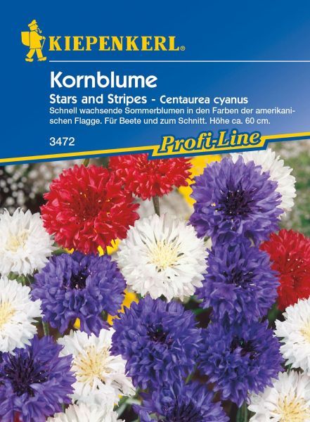 Kiepenkerl - Kornblume Stars And Stripes