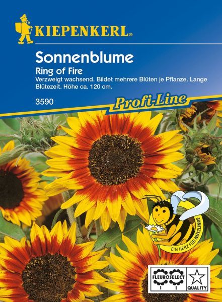 Kiepenkerl - Sonnenblume Ring of Fire