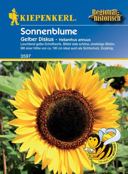 Kiepenkerl - Sonnenblume Gelber Diskus