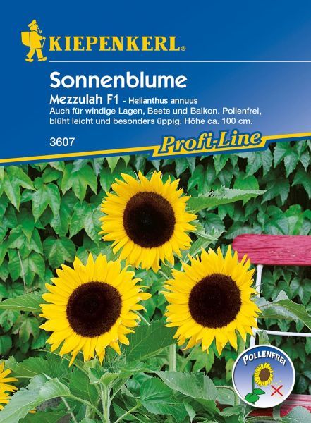 Kiepenkerl - Sonnenblume Mezzulah, F1