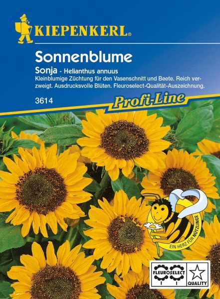 Kiepenkerl - Sonnenblume Sonja, F1