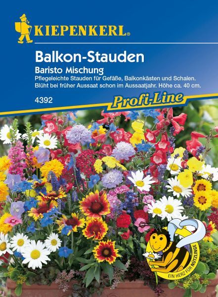 Kiepenkerl - Blumenmischung Balkon-Stauden Baristo