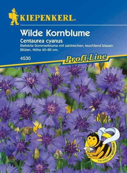 Kiepenkerl - Wilde Kornblume