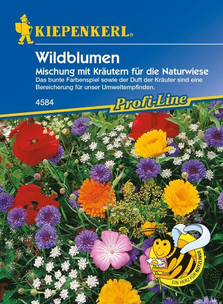 Kiepenkerl - Blumenmischung Wildblumen mit Kräutern