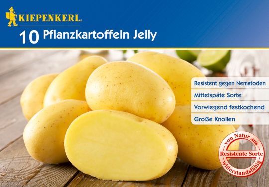 Kiepenkerl - Pflanzkartoffel Jelly 10St