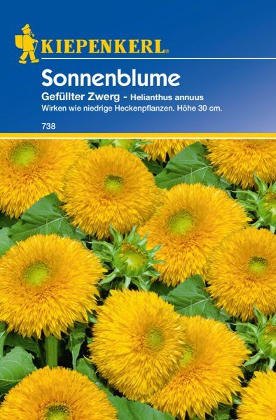 Kiepenkerl - Sonnenblume Gefüllter Zwerg